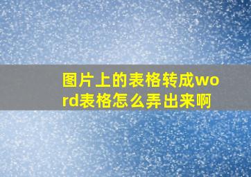 图片上的表格转成word表格怎么弄出来啊