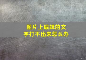 图片上编辑的文字打不出来怎么办