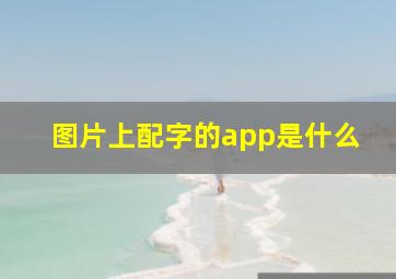 图片上配字的app是什么