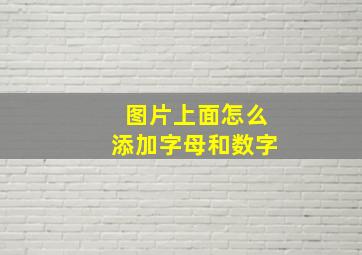 图片上面怎么添加字母和数字