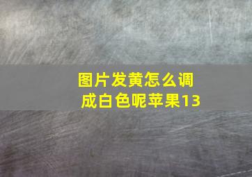 图片发黄怎么调成白色呢苹果13