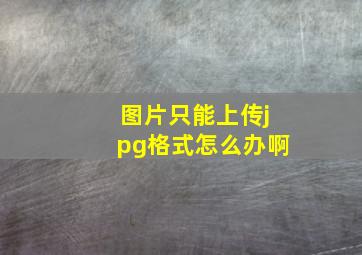 图片只能上传jpg格式怎么办啊