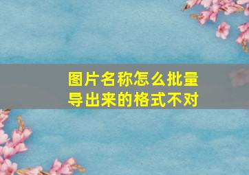 图片名称怎么批量导出来的格式不对