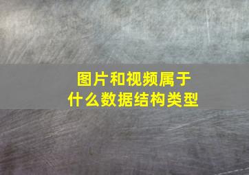 图片和视频属于什么数据结构类型