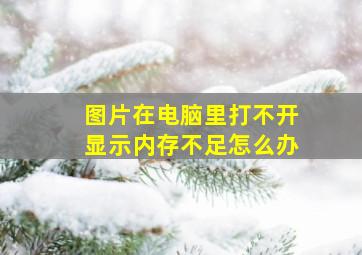 图片在电脑里打不开显示内存不足怎么办