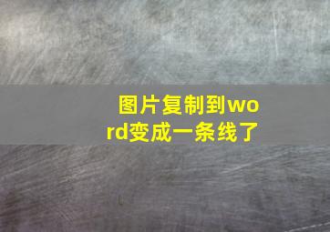 图片复制到word变成一条线了