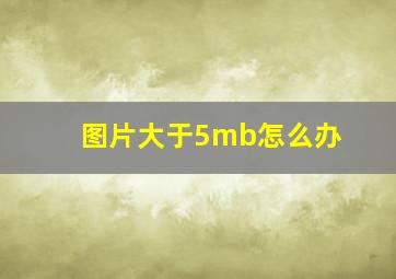 图片大于5mb怎么办