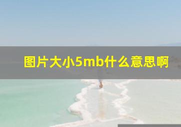 图片大小5mb什么意思啊