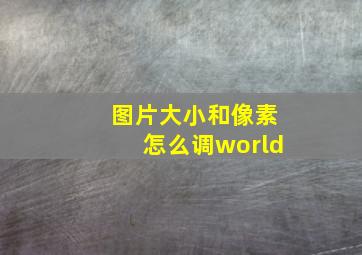 图片大小和像素怎么调world