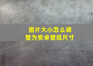 图片大小怎么调整为安卓壁纸尺寸