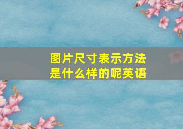 图片尺寸表示方法是什么样的呢英语