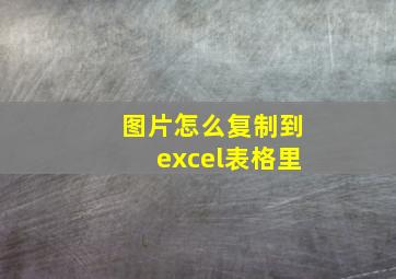 图片怎么复制到excel表格里