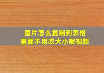 图片怎么复制到表格里面不用改大小呢视频