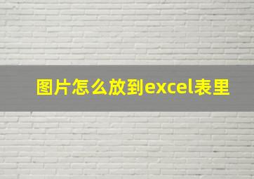 图片怎么放到excel表里