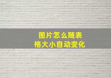 图片怎么随表格大小自动变化