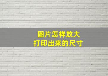 图片怎样放大打印出来的尺寸