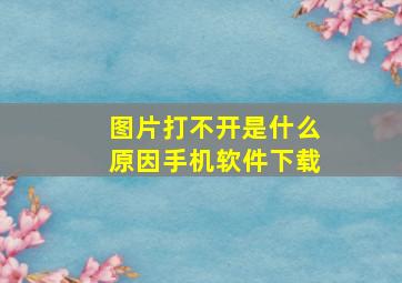 图片打不开是什么原因手机软件下载