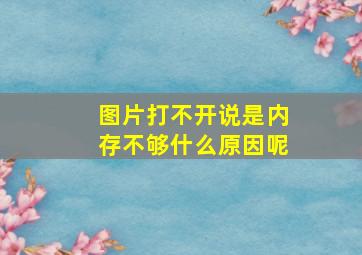 图片打不开说是内存不够什么原因呢