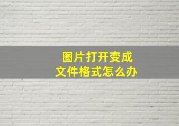 图片打开变成文件格式怎么办