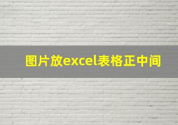 图片放excel表格正中间