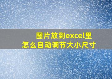 图片放到excel里怎么自动调节大小尺寸