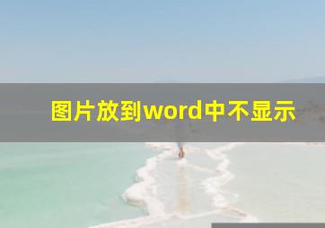 图片放到word中不显示