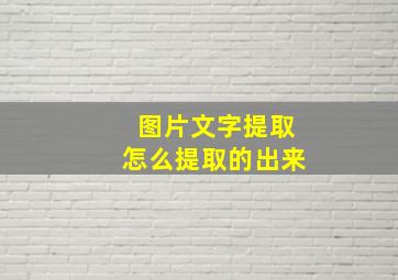 图片文字提取怎么提取的出来