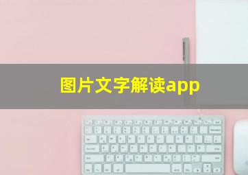 图片文字解读app