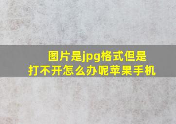 图片是jpg格式但是打不开怎么办呢苹果手机