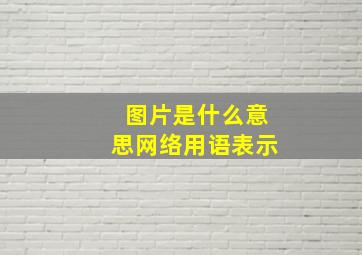 图片是什么意思网络用语表示