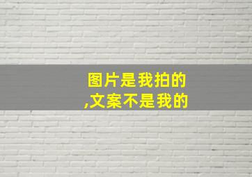 图片是我拍的,文案不是我的