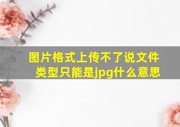 图片格式上传不了说文件类型只能是jpg什么意思