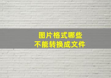 图片格式哪些不能转换成文件