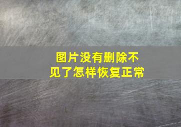 图片没有删除不见了怎样恢复正常