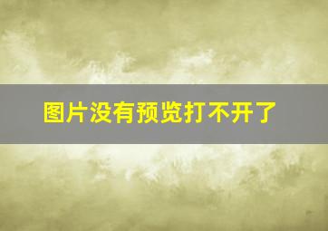 图片没有预览打不开了