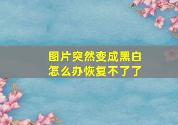 图片突然变成黑白怎么办恢复不了了