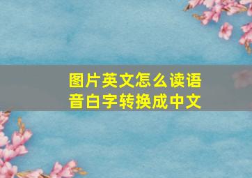 图片英文怎么读语音白字转换成中文