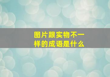 图片跟实物不一样的成语是什么