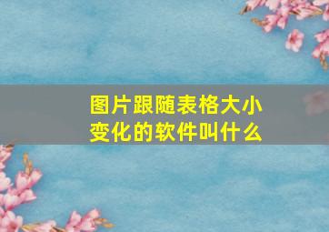 图片跟随表格大小变化的软件叫什么