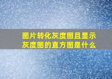 图片转化灰度图且显示灰度图的直方图是什么