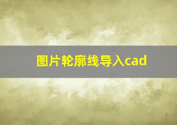 图片轮廓线导入cad