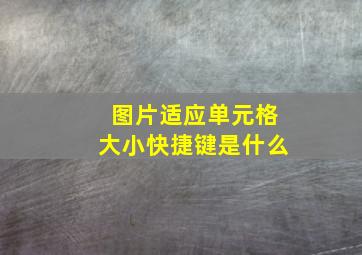 图片适应单元格大小快捷键是什么