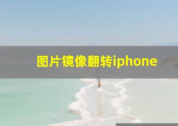 图片镜像翻转iphone