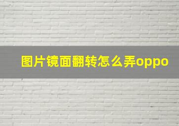 图片镜面翻转怎么弄oppo