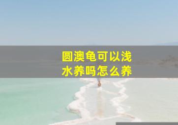 圆澳龟可以浅水养吗怎么养