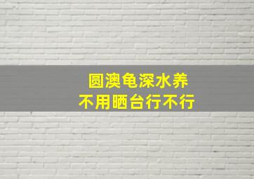 圆澳龟深水养不用晒台行不行