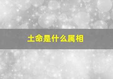 土命是什么属相