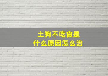 土狗不吃食是什么原因怎么治