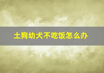 土狗幼犬不吃饭怎么办