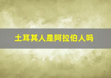 土耳其人是阿拉伯人吗